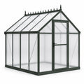 Gewächshaus aus Aluminium und Polycarbonat, 190 × 250 × 220 cm, Dunkelgrün und Transparent, mit Drehtür